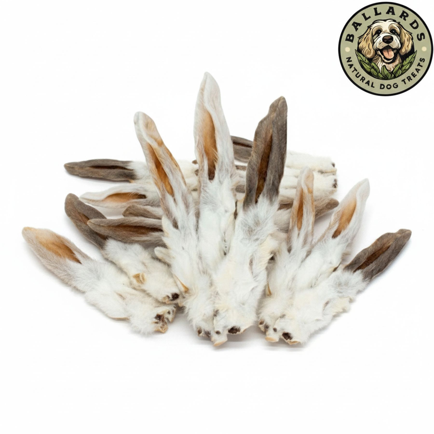 7bca9421 130a 4bb1 b02b 2be2b0797168