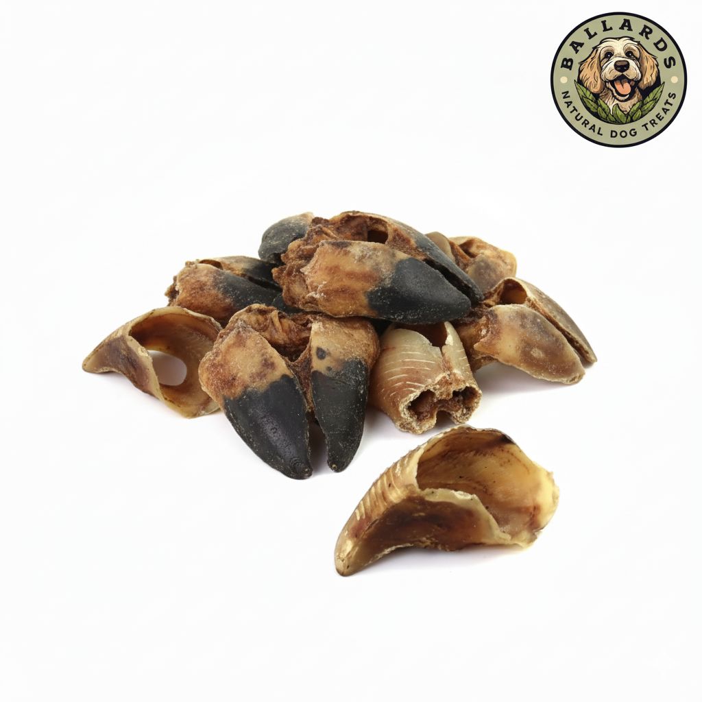 Af98f072 c63b 4ac6 b925 c885ab7e05b3.jpg