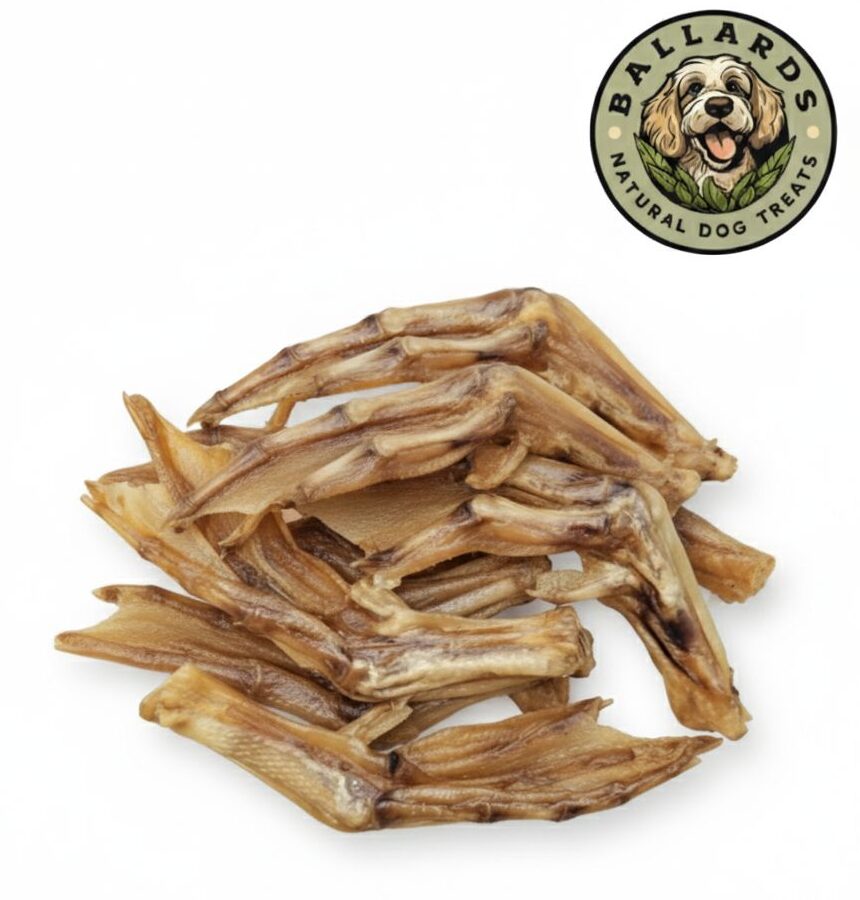 B8fdffa3 21c4 4057 9684 78a2c2b7f394.jpg