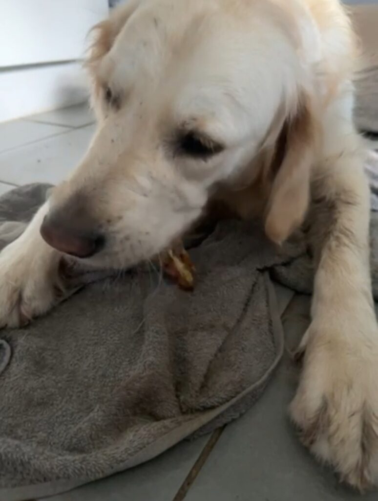 Screenshot 20240123 152608 Galleryjpg